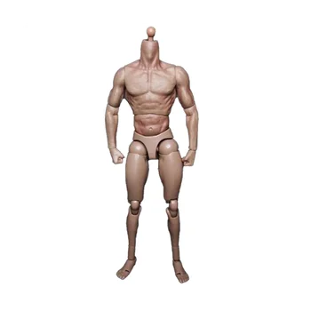 1/6 Scară Îngustă Umăr de sex Masculin Corpul Papusa Figura de Acțiune pentru TTM18 TTM19 Fierbinte și Jucării Corpul Uman Schiță de Model
