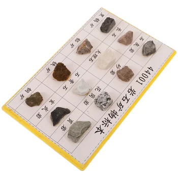 12 Buc Rock, Specimen Set Biologice Experiment Exemplare pentru Școlile Primare și Secundare Minerale