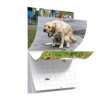 Câine amuzant Caca Calendar de Perete 2024 Calendar Unic Cadou pentru Prieteni, Familie, Vecini Coleg Relativă a Iubit-O Acasă Consumabile