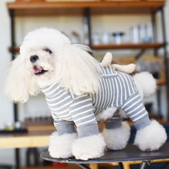 Lucruri pentru Câini de talie Mică Medie Drăguț Haine Fata York Haine de Primăvară Pug Jumper Pulover Costum pentru Un Câine Purta Tricou Basic