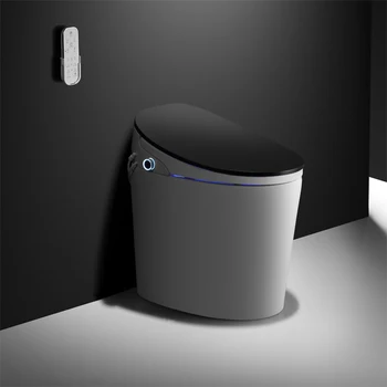 O Bucată De Podea Montat Sifon Culoare Ceramice Automată Tankless Femeile Se Spală Electric Inteligent Bideu Toaletă Inteligent Cu Senzor