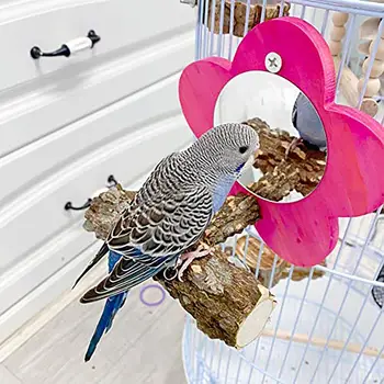 YOUZI Pasăre Oglindă Cu Biban Papagal Sta Băț de Lemn Forma de Floare Jucării Colivie Accesorii Consumabile pentru animale de Companie